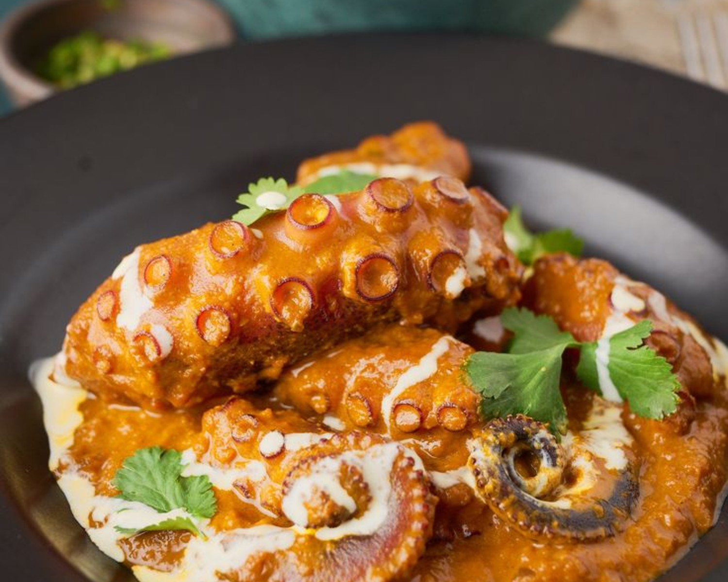 Octopus Curry – Rich Tender Cephalopod